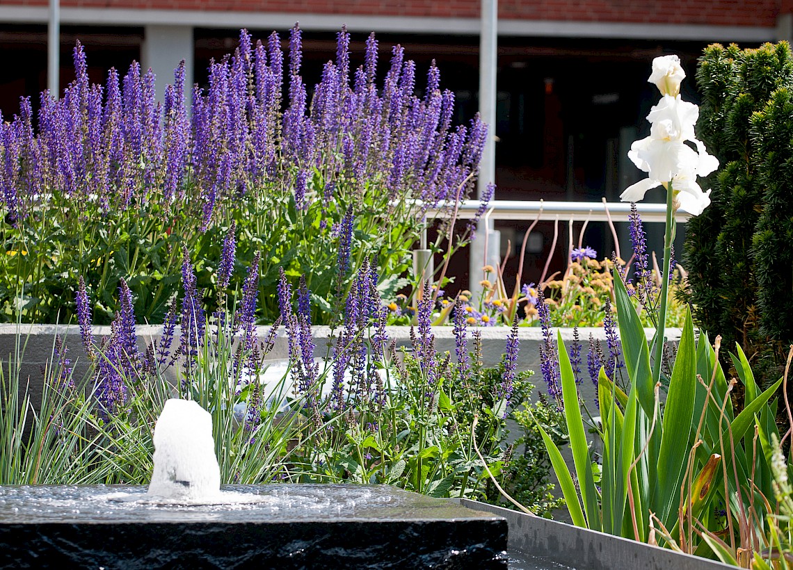 Kreishaus Rotenburg / Wümme