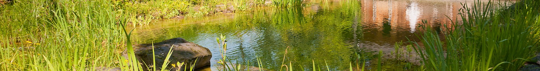 Privater Hausgarten B. bei Oldenburg mit Schwimmteich