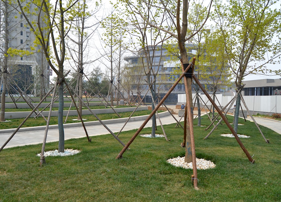 Freianlagen am Culture Exchange Plaza