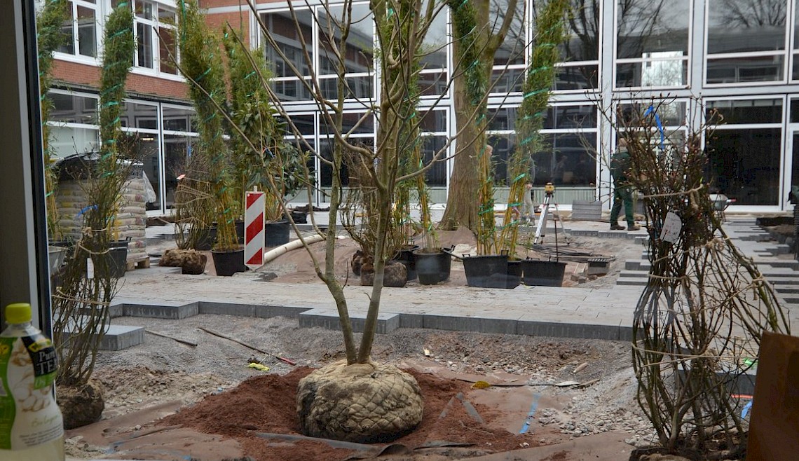 Homeoffice + Stallwache