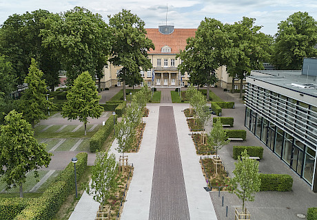 Clemens-August-Gymnasium, Cloppenburg - Zufahrt