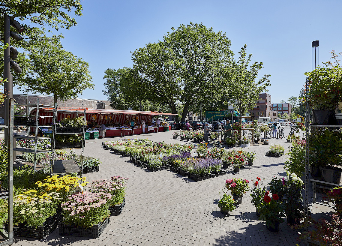Klingenbergplatz Oldenburg